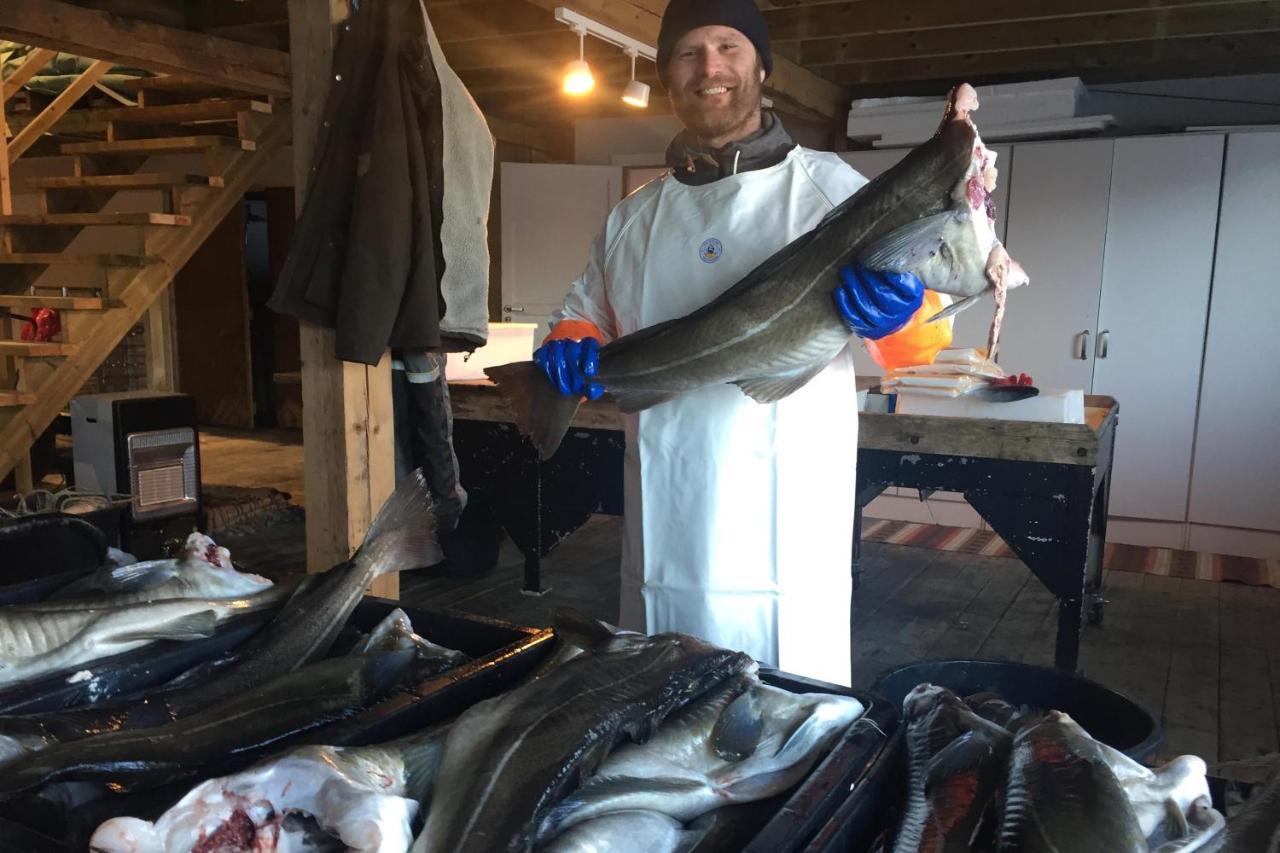 Kalle i Lofoten Kabelvåg Eksteriør billede